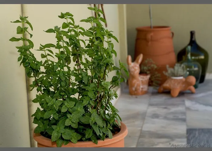 Areti' S Apartment Volos