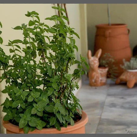 Areti' S アパート ヴォロス