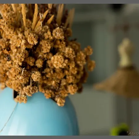 Areti' S Appartamento *