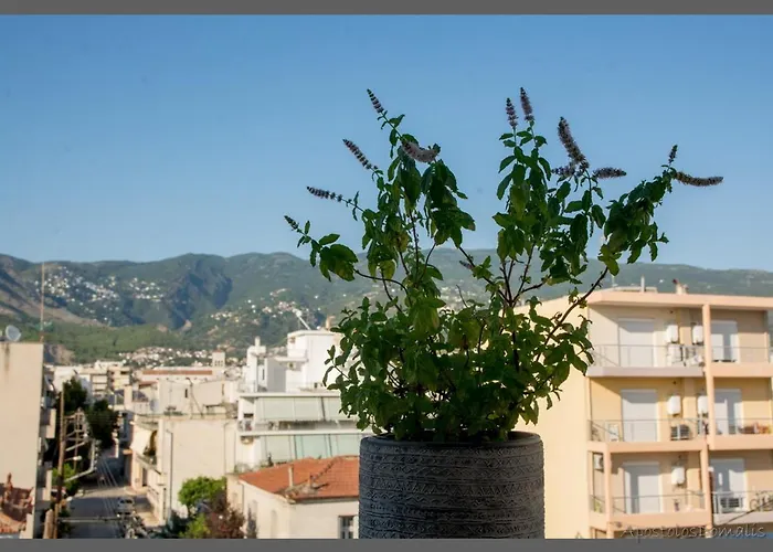 Areti' S Βόλος