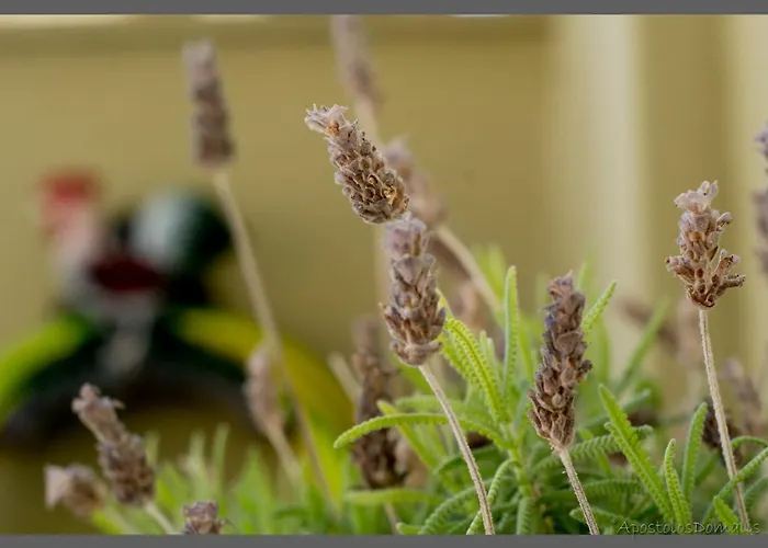 Areti' S Διαμέρισμα