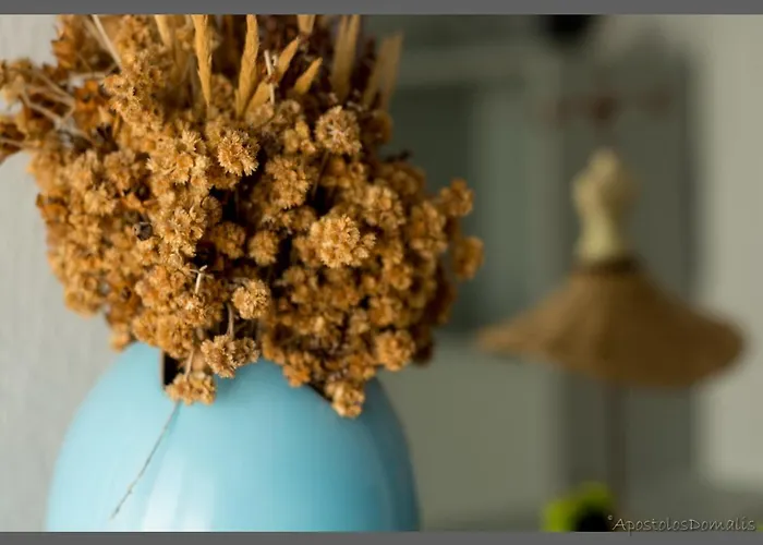 Areti' S Διαμέρισμα *